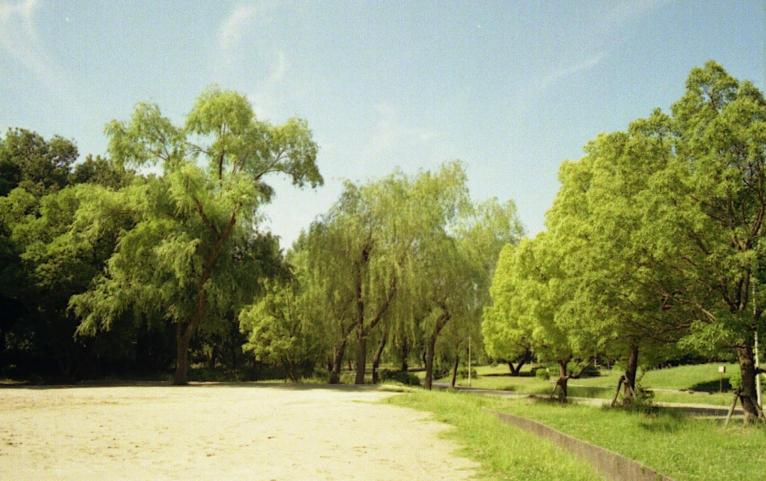 d0071507_1325455.jpg