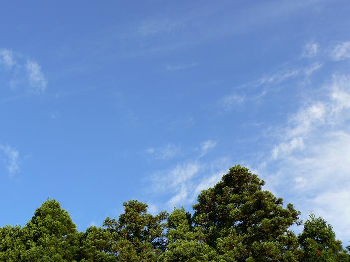 c0086014_22422540.jpg