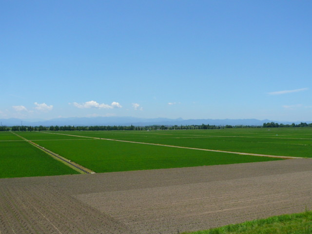 a0077616_16594978.jpg