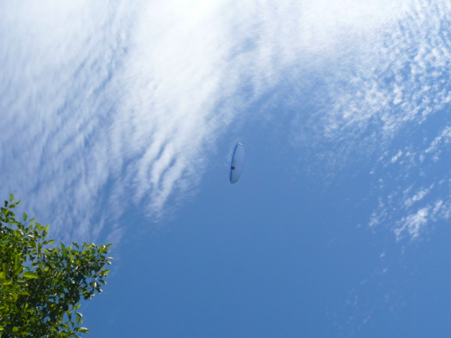 a0077616_1832072.jpg