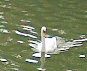 d0002224_21343919.jpg