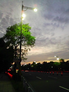 d0002224_21352187.jpg