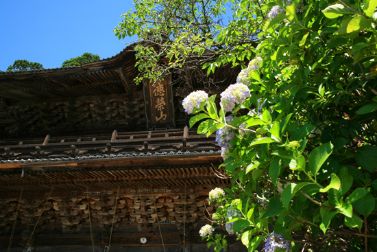 f0081726_1533827.jpg