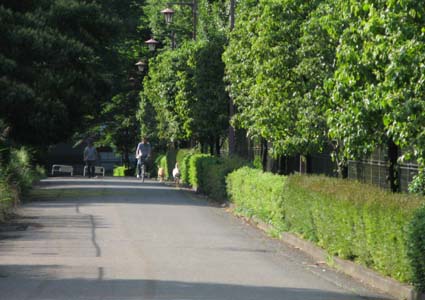 d0109728_9123035.jpg