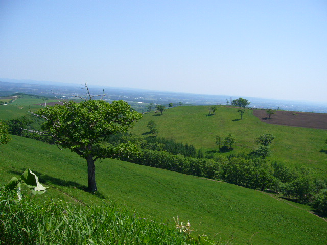 d0089329_212550100.jpg