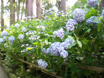 f0045433_20522570.jpg