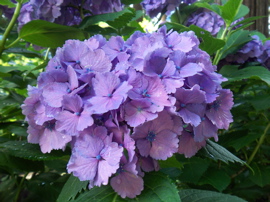 f0045433_20531470.jpg