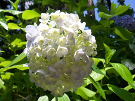 f0045433_20593027.jpg
