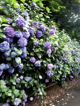 f0045433_21511427.jpg