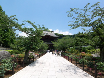 f0045433_2291987.jpg