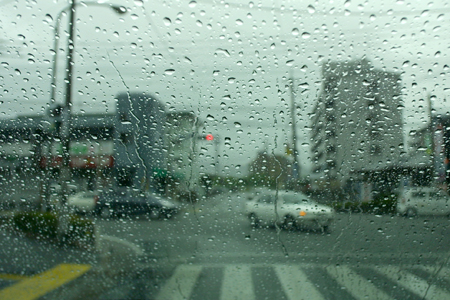 a0097735_0274166.jpg