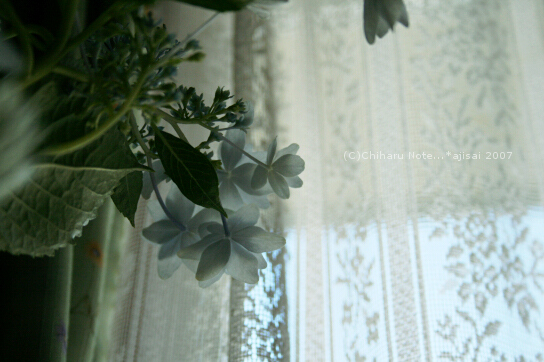 c0046340_18582564.jpg