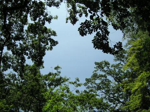 a0025141_150941.jpg