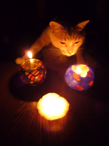 e0058443_23254818.gif