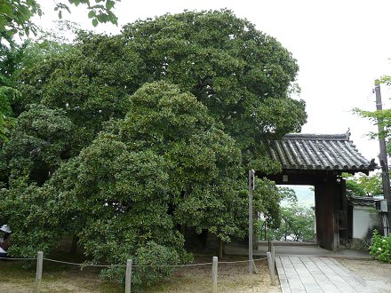 c0057946_2034158.jpg