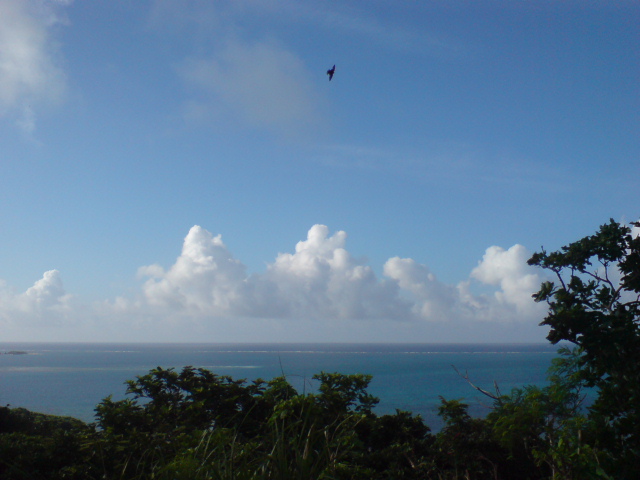 e0050449_23471695.jpg