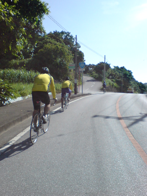 e0050449_23501821.jpg