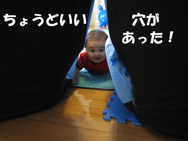 a0090451_10315778.jpg