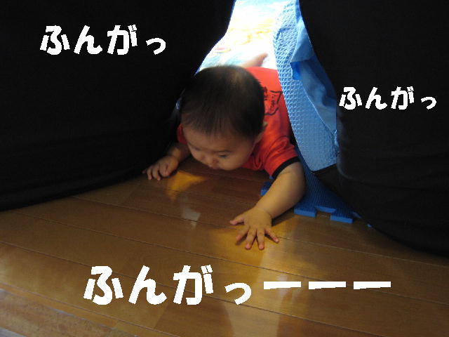 a0090451_1032676.jpg
