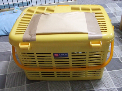 e0126054_1581179.jpg
