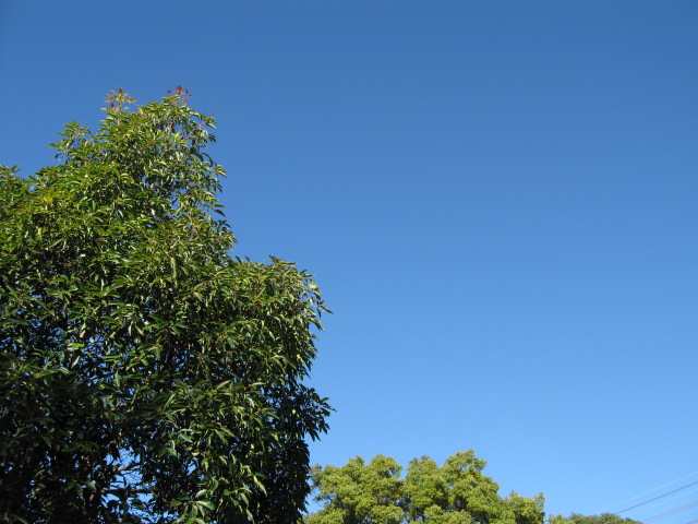 b0080959_13281358.jpg