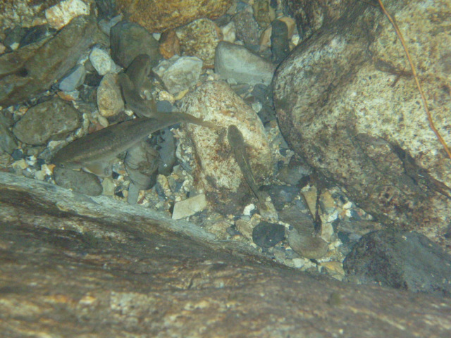 f0083262_23354893.jpg