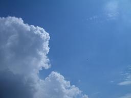 f0142862_1146961.jpg