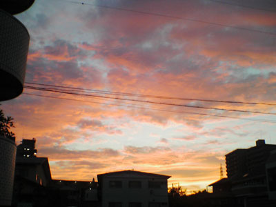 c0050264_15505685.jpg