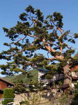 c0122670_0513247.jpg