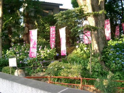c0112172_003990.jpg
