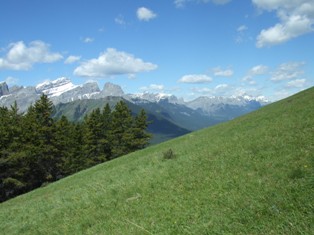 a0047577_0443290.jpg