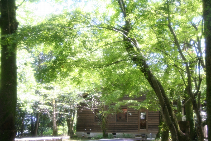 e0024081_23124256.jpg