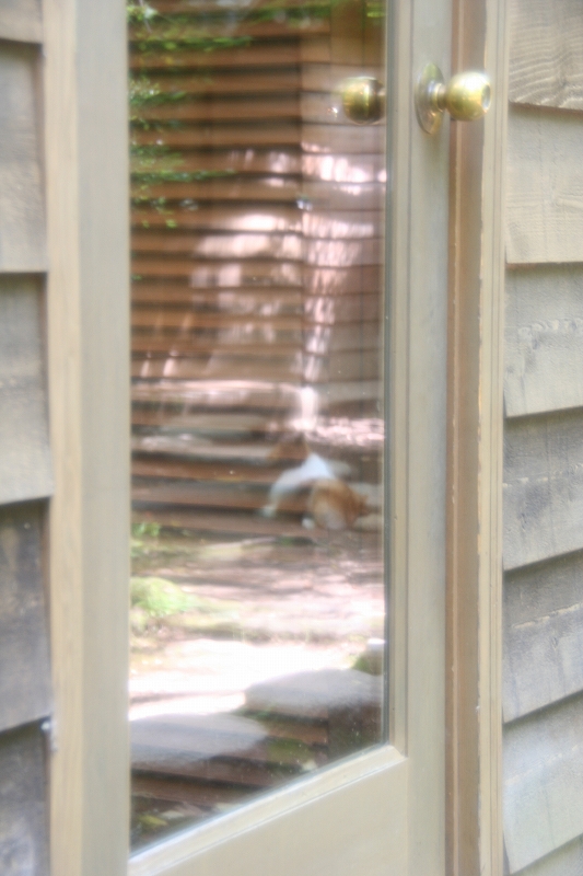 e0024081_23131673.jpg