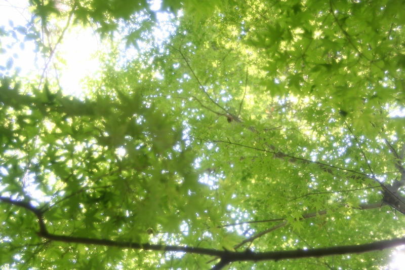 e0024081_23141665.jpg