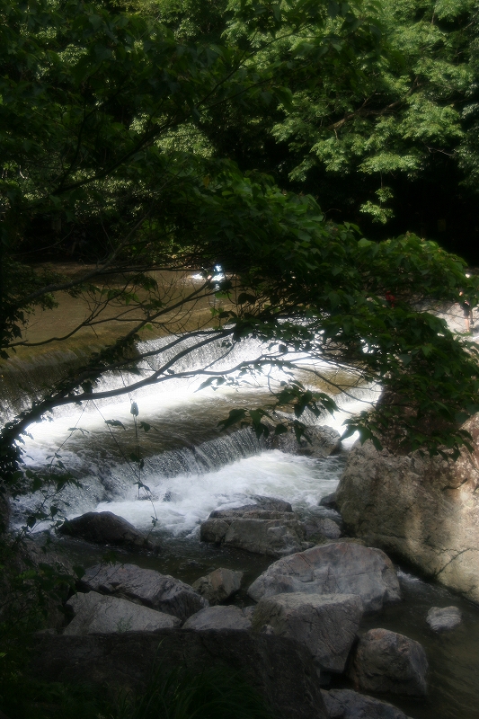 e0024081_231431.jpg