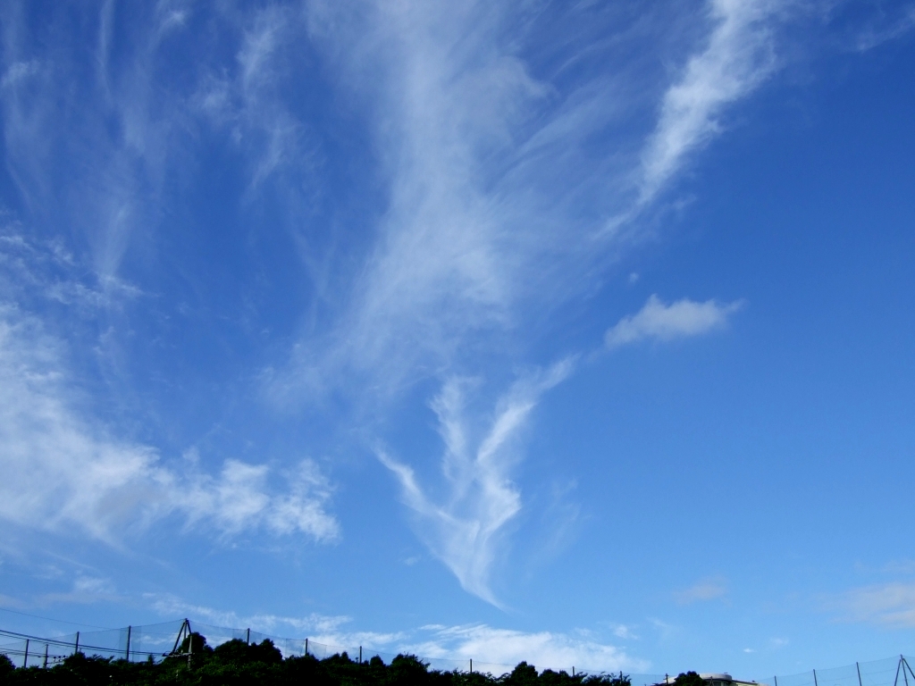b0092885_18585866.jpg