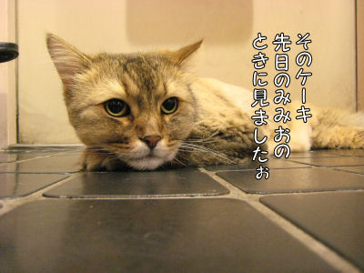 a0045990_23553146.jpg