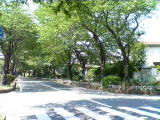 e0124690_1430483.jpg