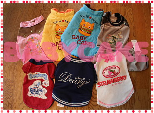 b0079792_12364577.jpg