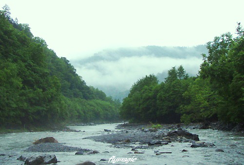 e0035597_20171538.jpg