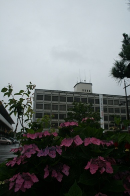 e0060302_213147.jpg