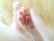 c0055305_9353372.jpg