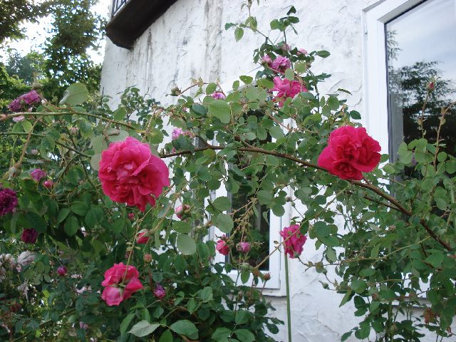f0084806_7111823.jpg