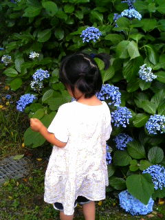 f0092906_20123439.jpg