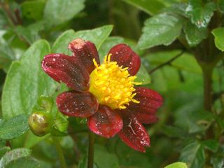 b0061107_23541759.jpg