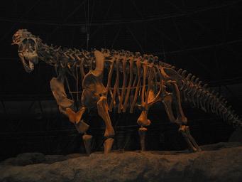 d0047107_23201465.jpg