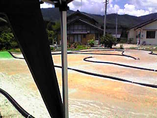 d0070007_1547137.jpg