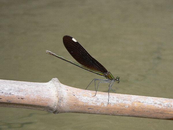 e0002314_2182421.jpg