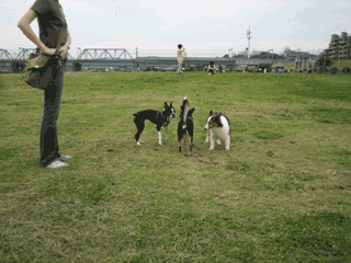 e0080117_024098.gif