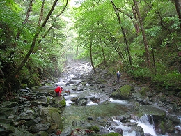 e0002820_20543828.jpg
